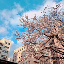 新田 沙耶加