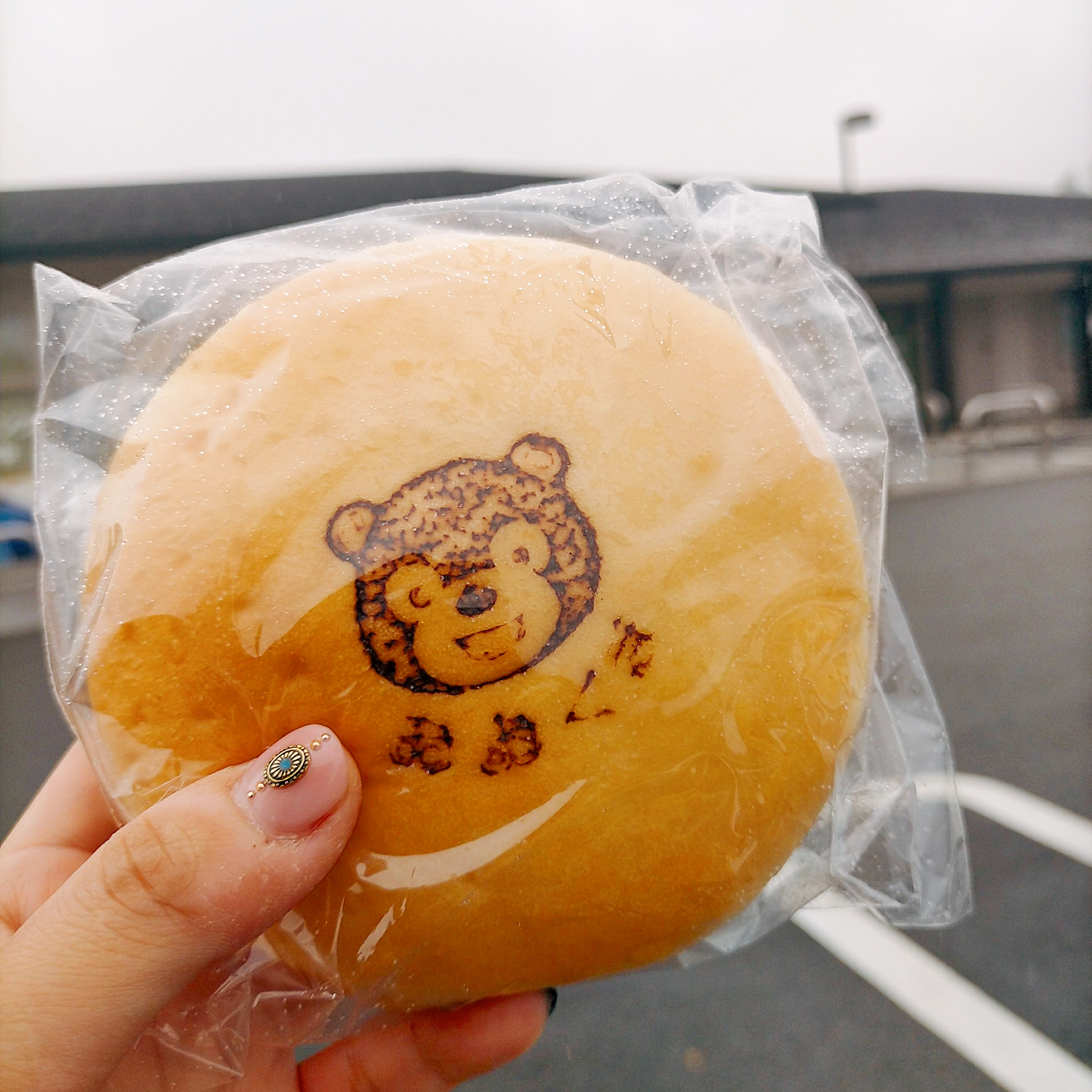 大熊チームの活動を紹介します。