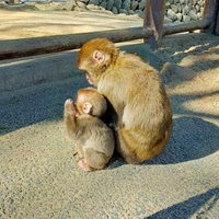 yuria nobuokaさんのプロフィール