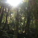 正雄 西岡
