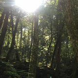 正雄 西岡