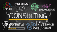 Consulting Sector