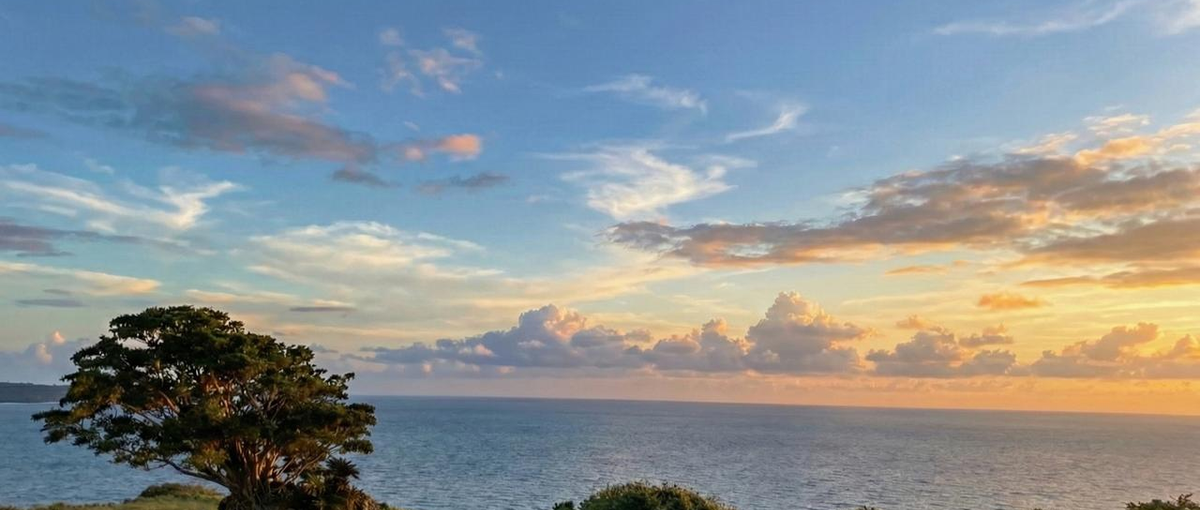 27卒｜全国50地域以上で展開！地域の未来を描く｜地域活性化プランナー