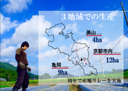 京都府内3ヶ所で産地リレーをし、周年栽培をしています。