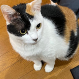 井口 乃輔