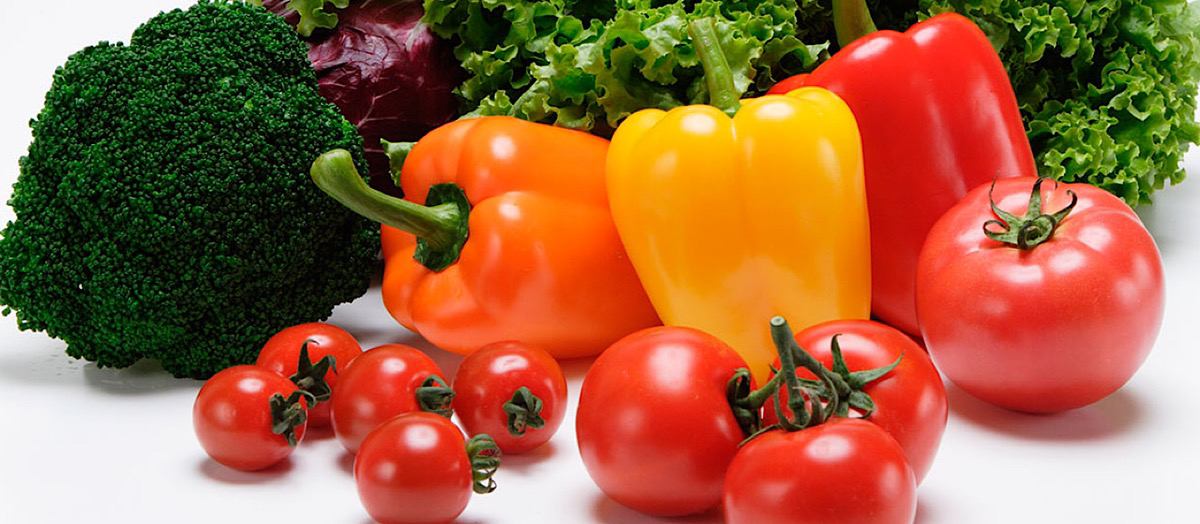 【新商品開発に密着vol.4】最終調整