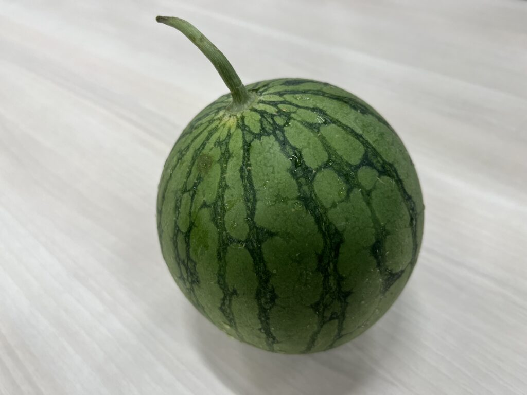 DXの会社が農園運営！あんぶるふぁーむ 岩槻農園で入社式を行いました🍉