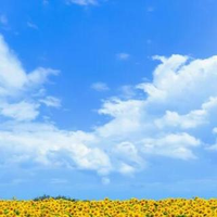 佐東 直哉さんのプロフィール