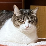 みずき