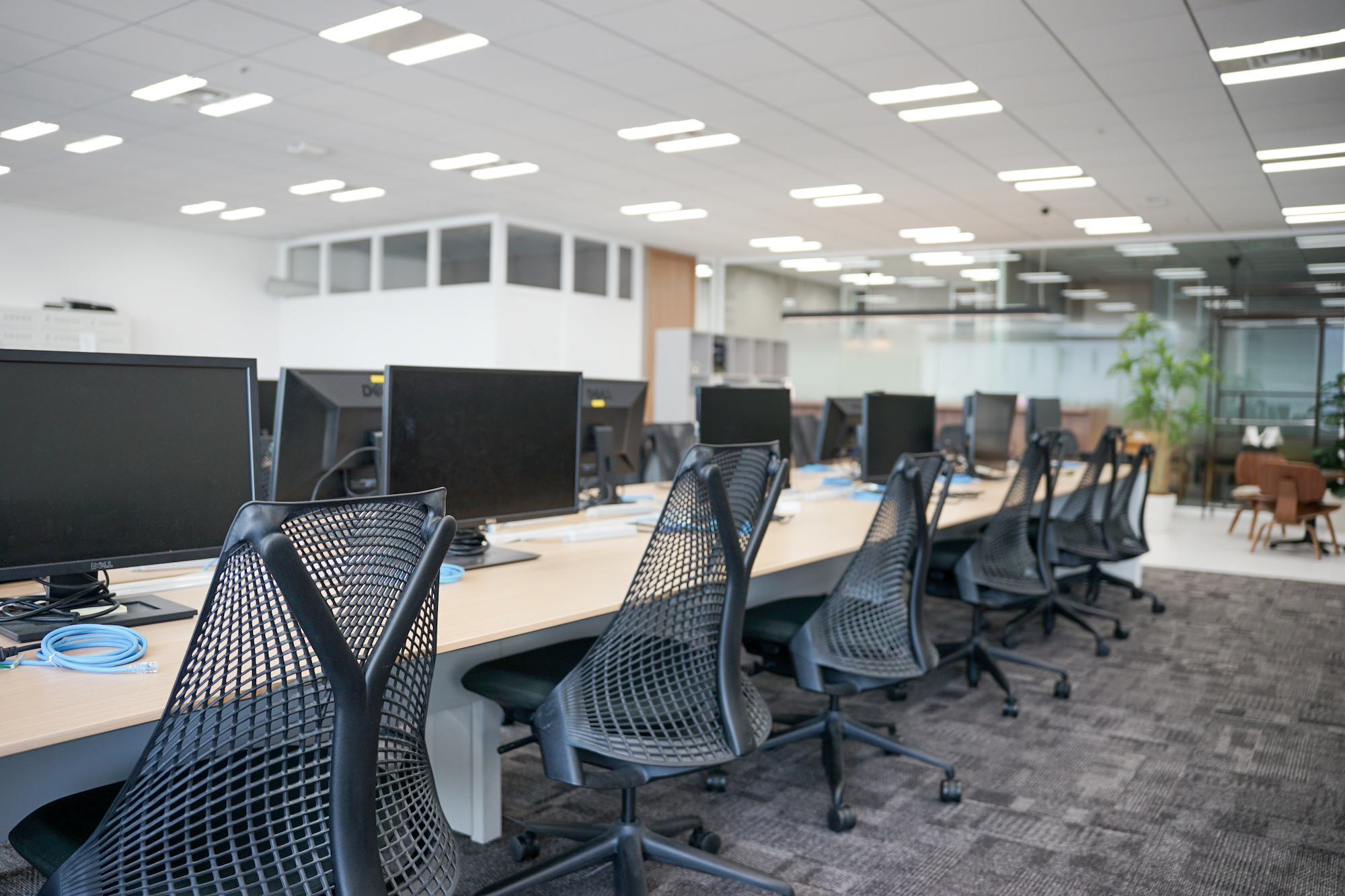 ～新卒1年目を迎える皆様へ　ウィルゲート社員からのメッセージ～