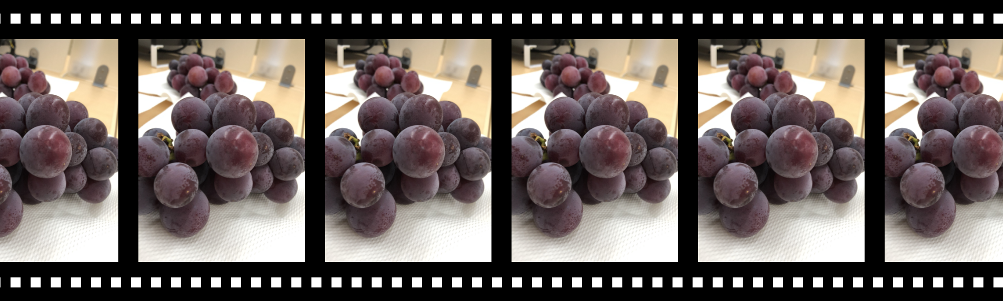 ぶどうを頂きました🍇