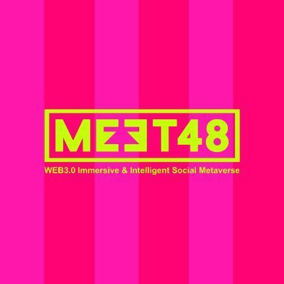 株式会社メタアイドルバース