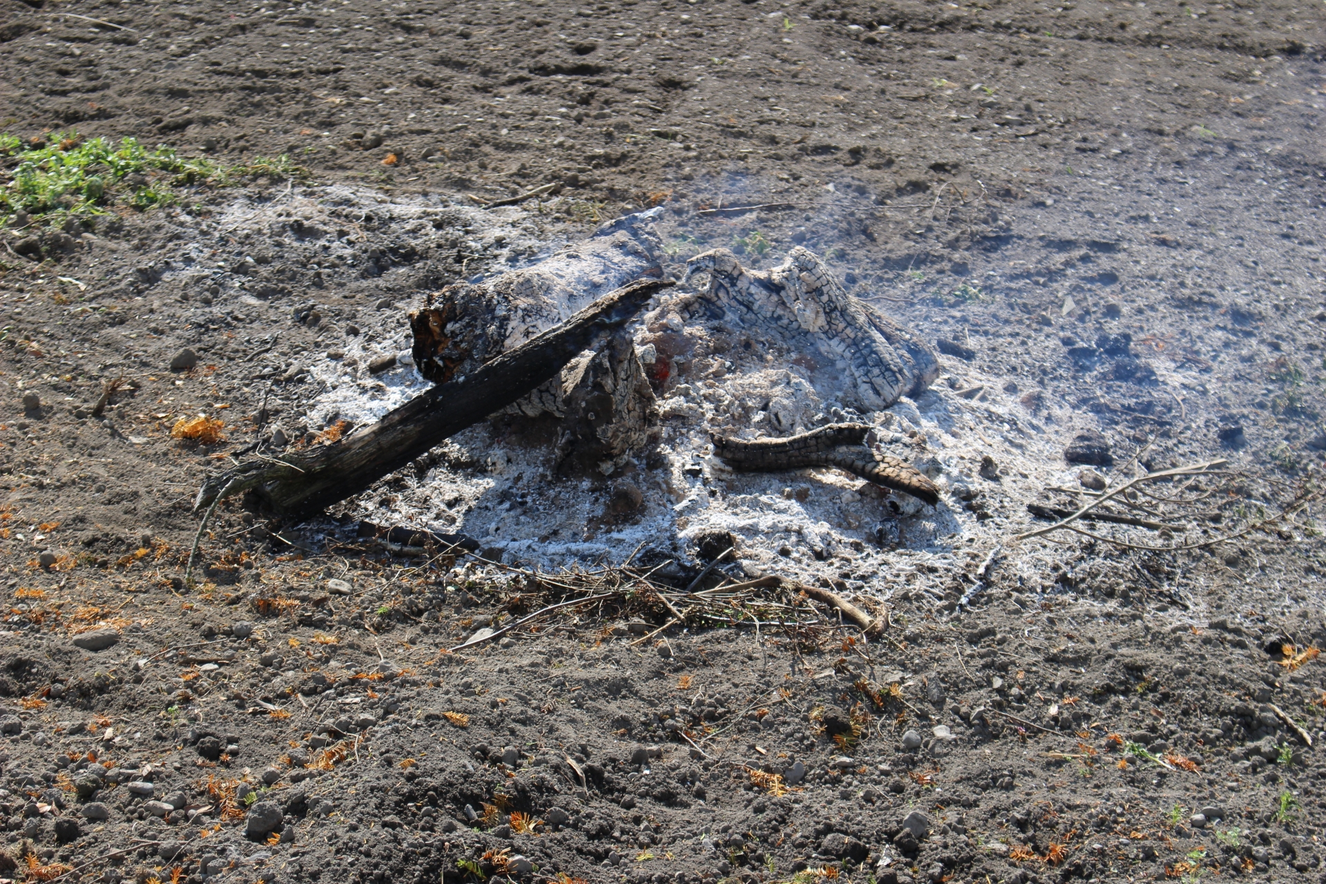 日本企業がここ20年どうしても燻ってるワケ