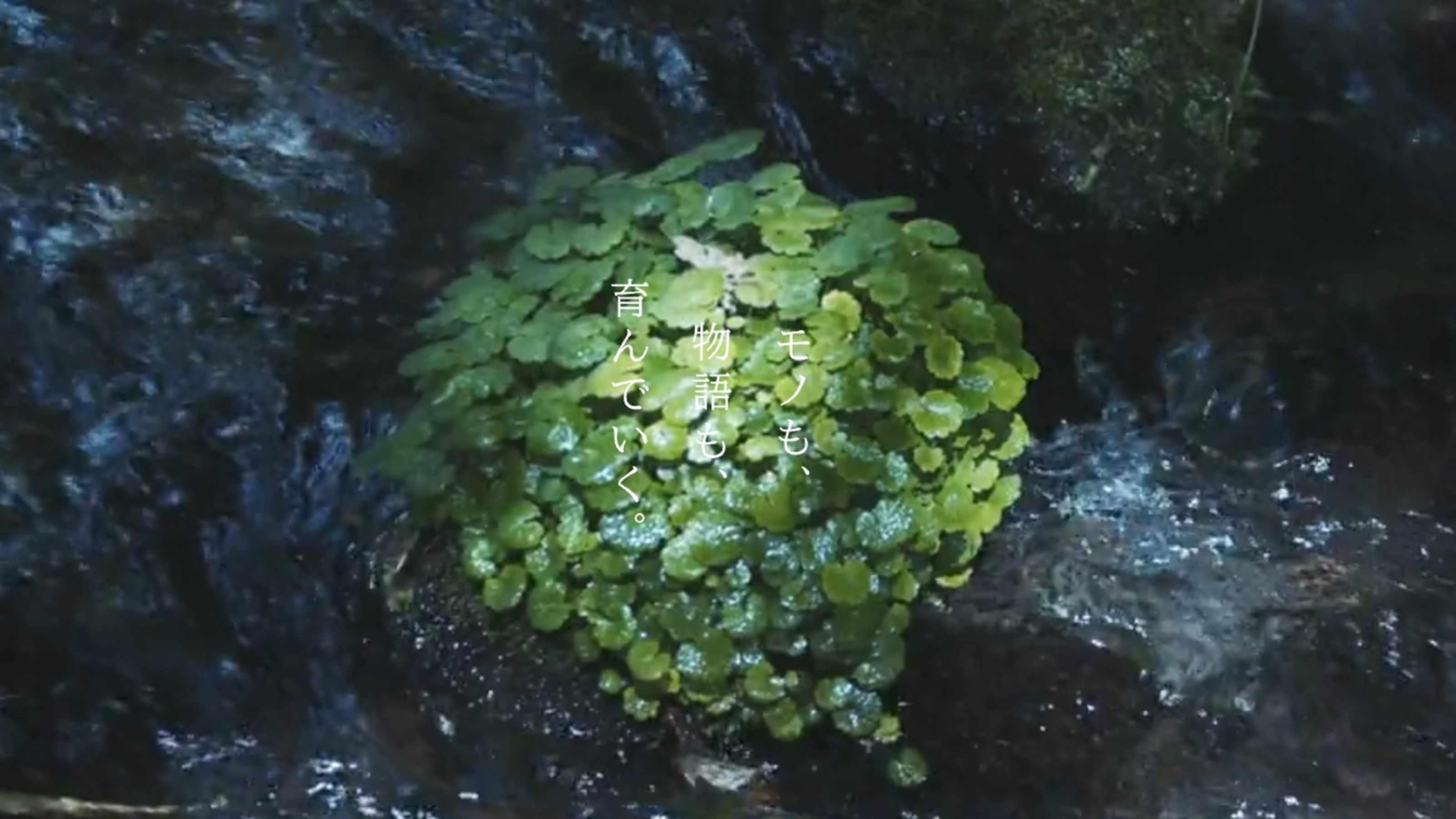 モノづくりブランドの承継及び成長実現に取り組むforest株式会社、シリーズB調達（35-40億円予定）を約19億円にてファーストクローズ