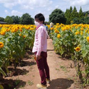 masafumi nishikawa