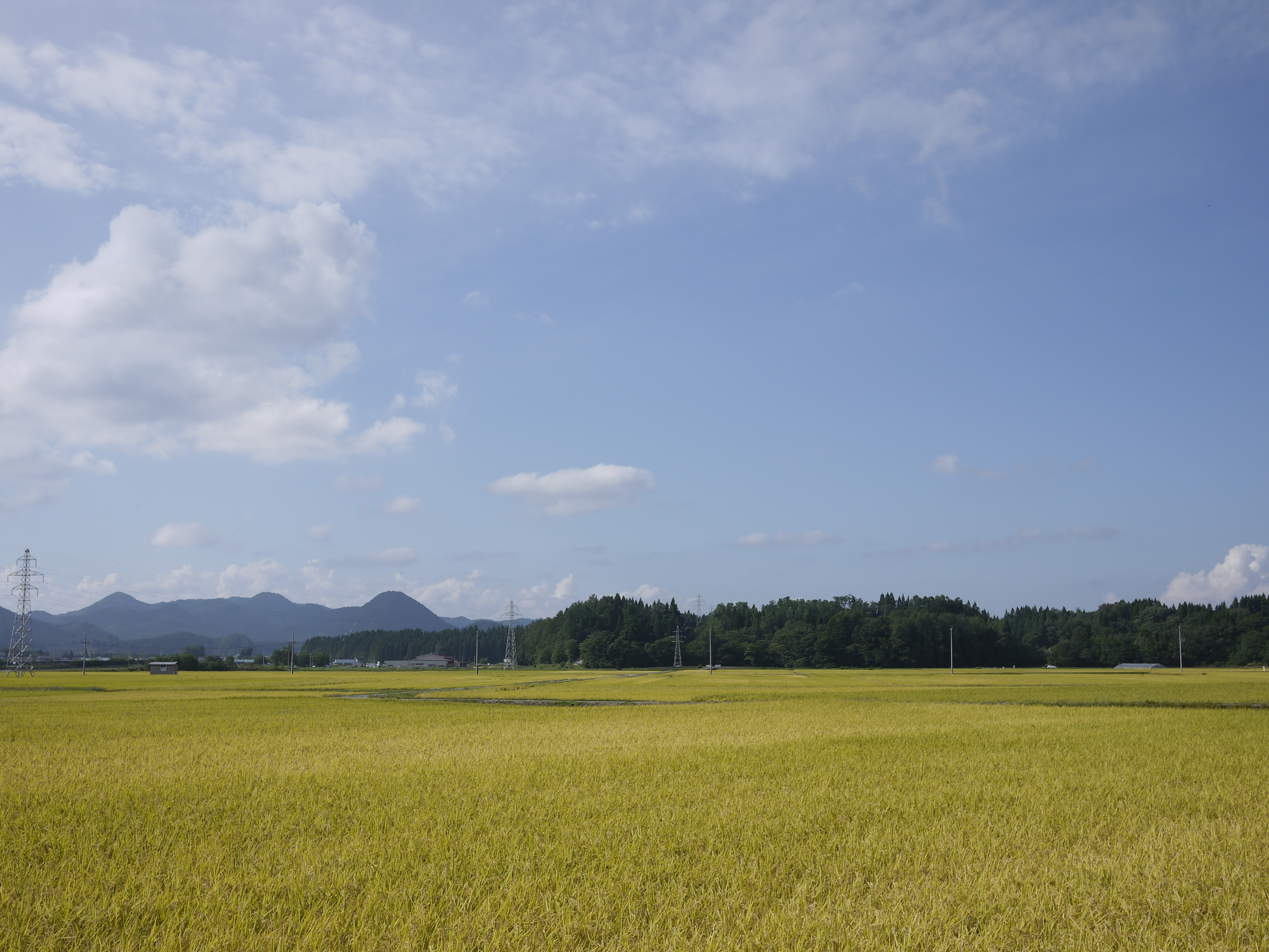 「いいな♪AKITA ～A生活探検移住フェア～」に出展します！