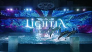 「体験」にこだわり、企画立案から、演出、アートディレクション、映像・音楽制作、プログラム制御の開発、現場での実装・調整まで、プロジェクトの全てをワンストップで担います。