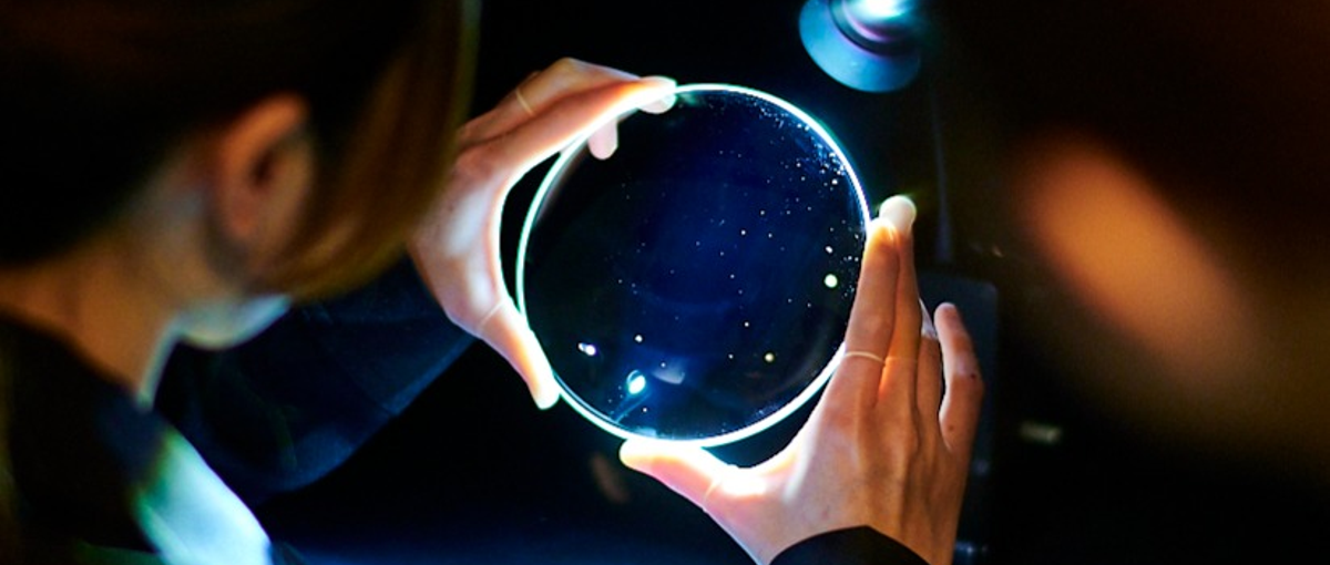 技術の粋を集めた、ここだから作れる光学レンズを国内大手企業に営業！