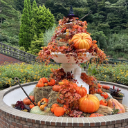 ハロウィンやクリスマスなど、季節に合わせた装飾も得意です！