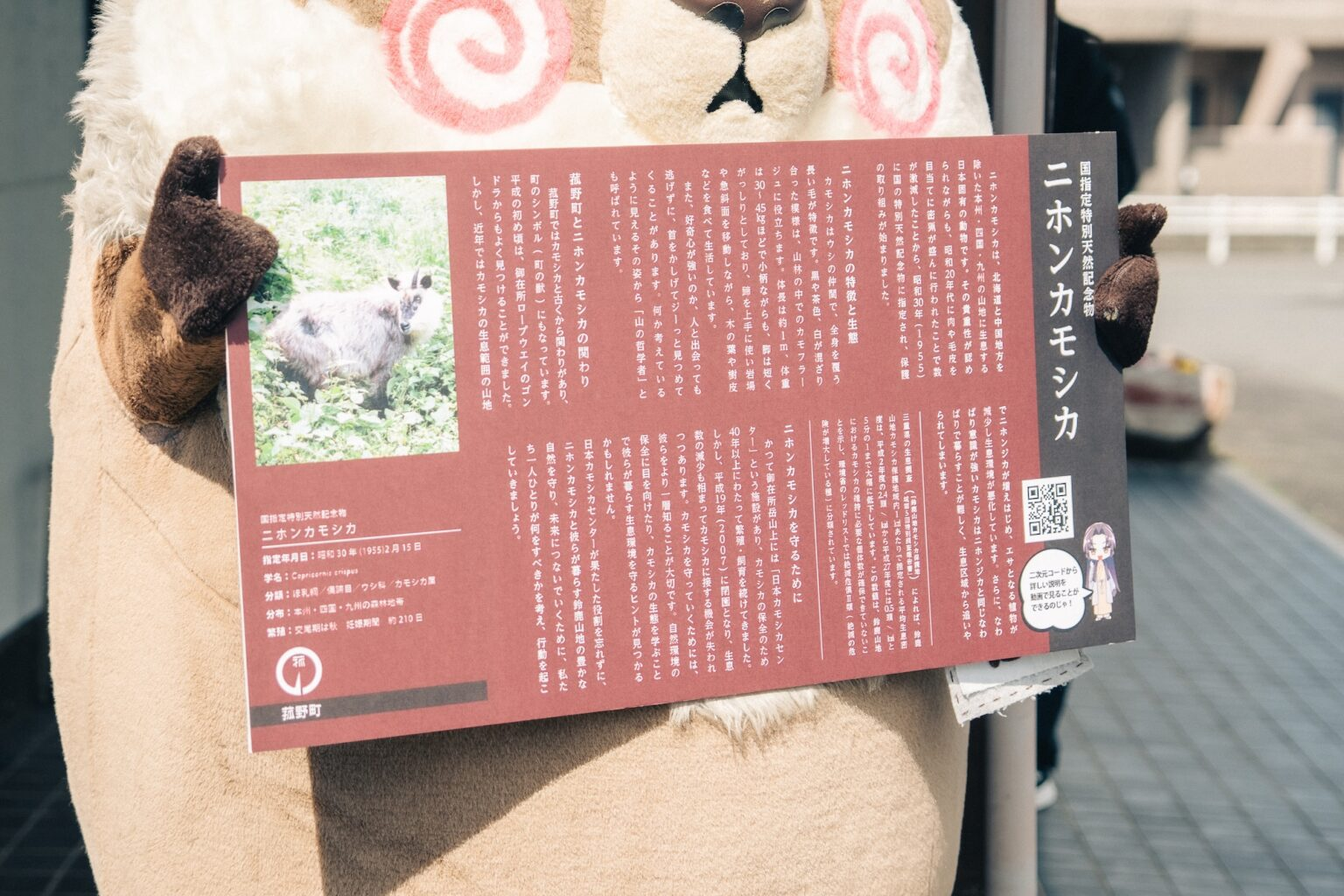 歴史×観光×デザイン。三重県菰野町で実現した、“伝わる”動画と看板づくりの裏側