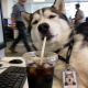 ご  てつう