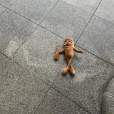 ハマイシ トモコ