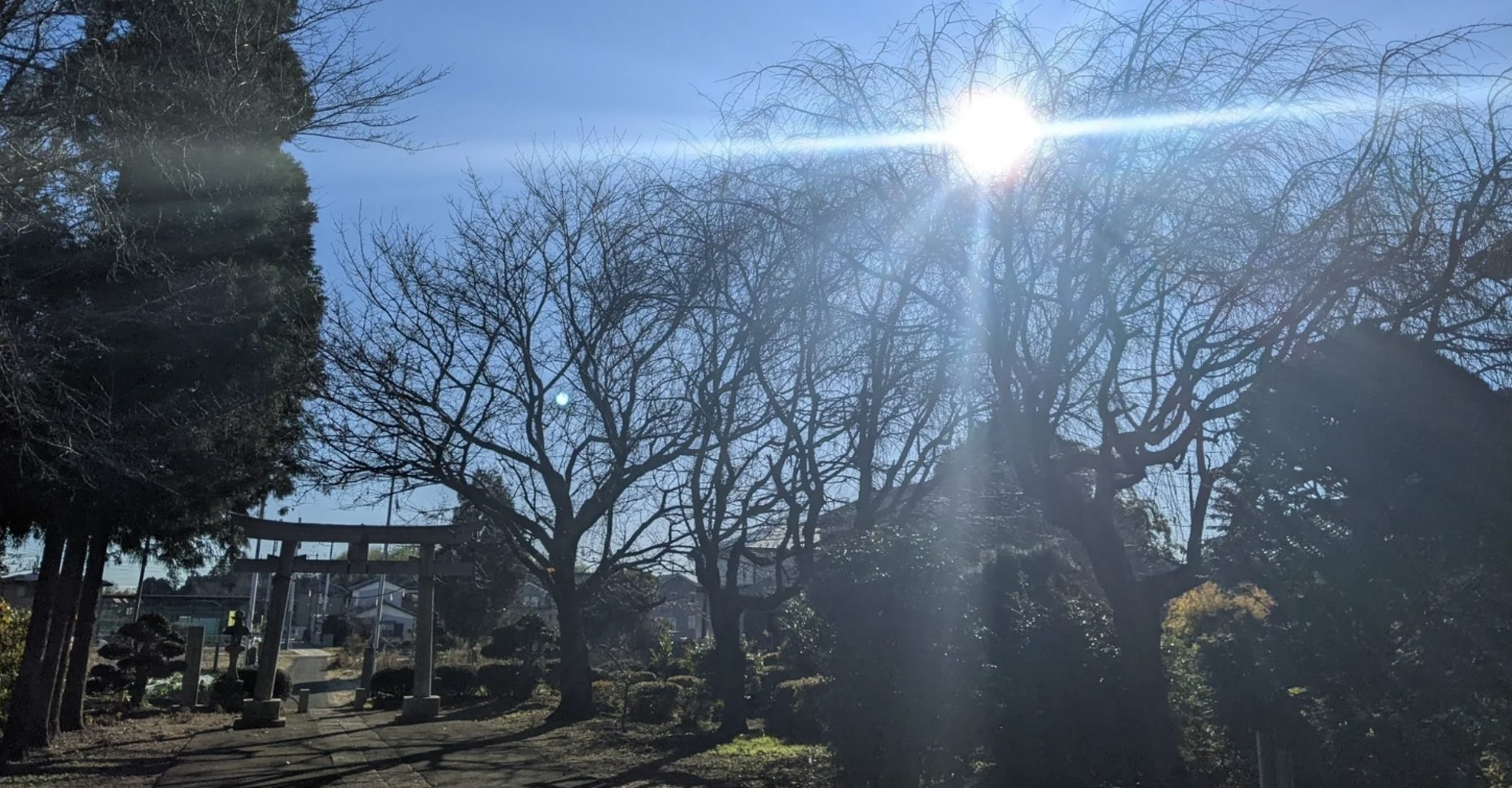 謹賀新年。癸卯の年を迎えて