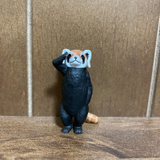 荒井 俊