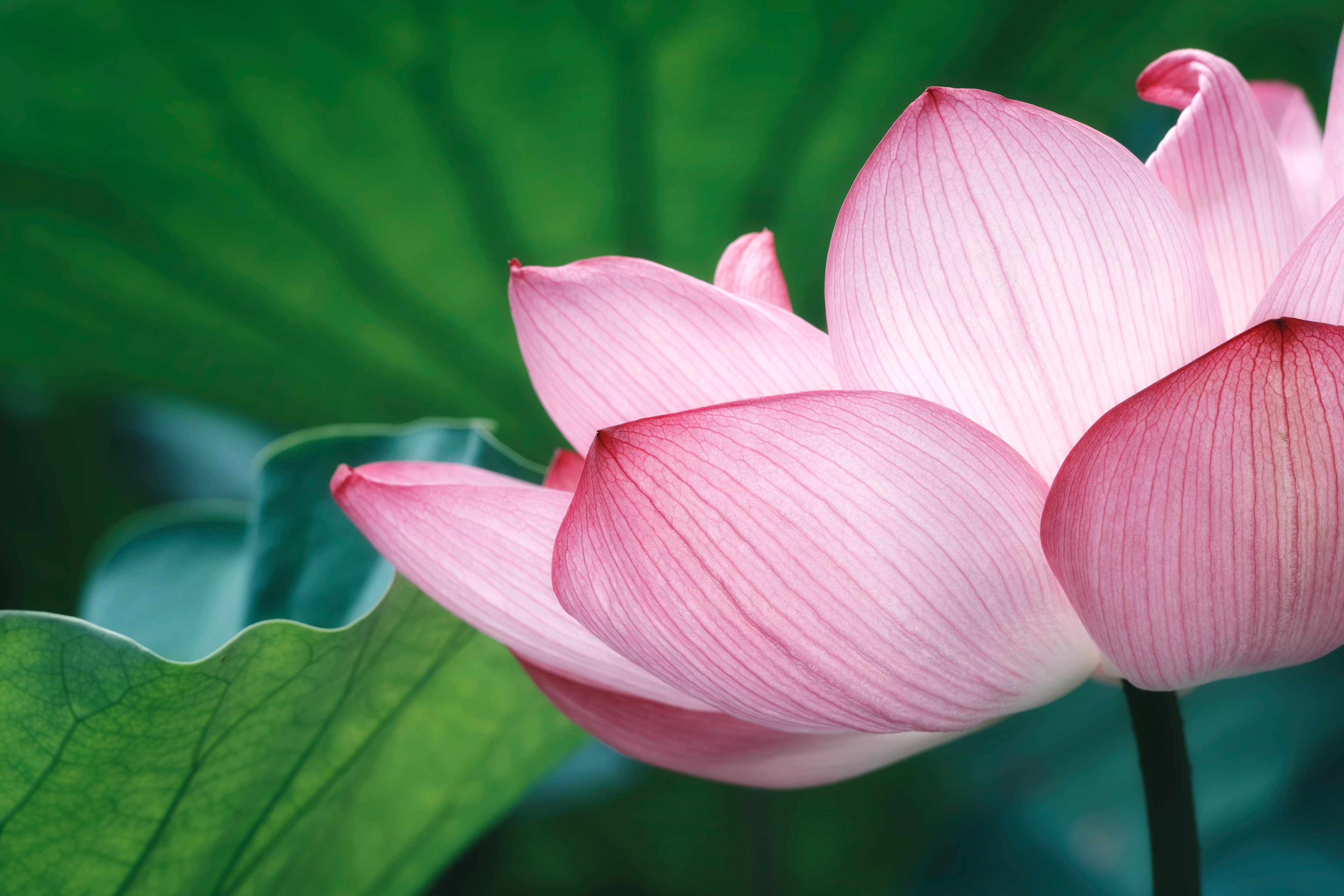 ねぇねぇWantedlyさん！！ずーっとモヤモヤしていた事記事にしちゃいました！中の人誰か読んで～w／ITインフラエンジニア