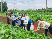 くくりの森は千葉県山武市にて農業を営んでいます。