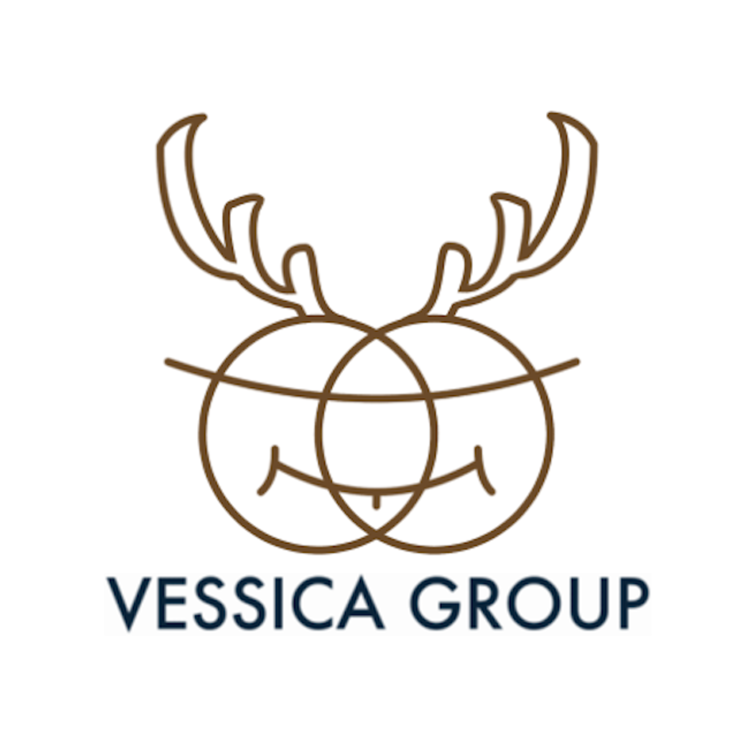 株式会社ヴェシカ