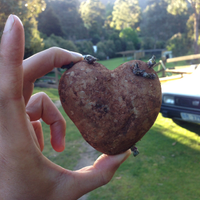 西山 すばるさんのプロフィール