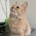Yuusuke Masuda