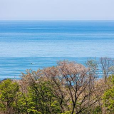遠野 孝之