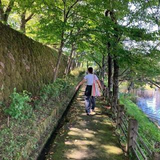 hashimoto