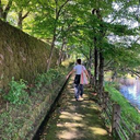 hashimoto