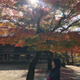 村往和美