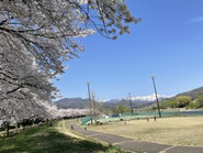 近くの公園で遊びにもでかけます！鬼ごっこやボール遊びなどなど