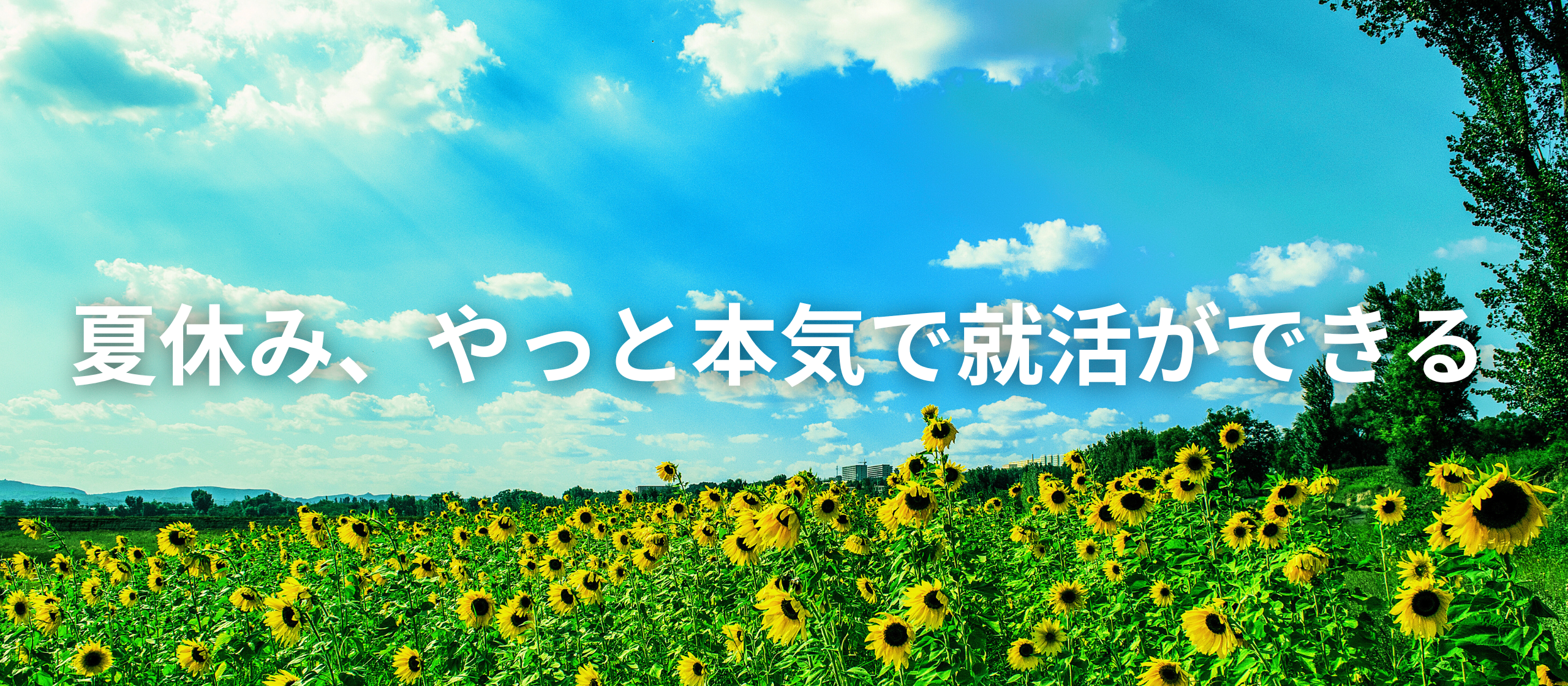 大学最後の夏休み、やっと本気で就活ができる。