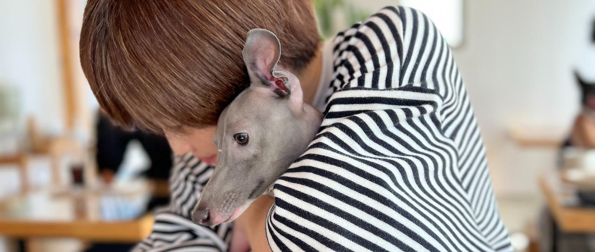 ユーザーの声をプロダクトに反映したい！ユーザーとチームを繋ぐCS募集！