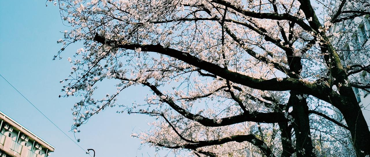 経験なくてOK!受託開発で実績を積みながらエンジニアデビューしませんか？