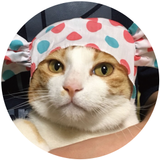 やまもと