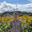 久保尚人さんのアバター