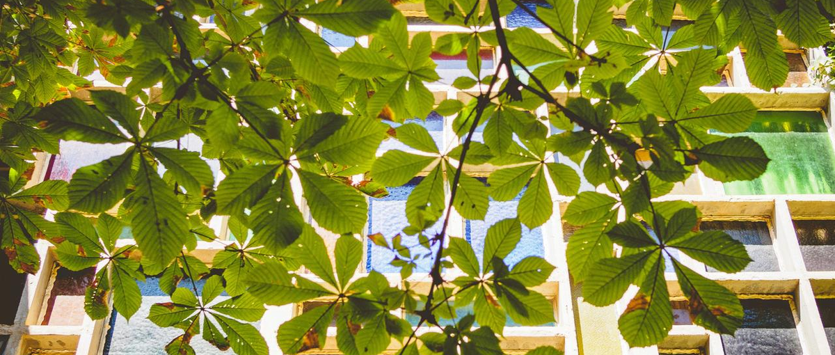 建物と環境について考える！新規事業を一緒に推進する仲間を募集！