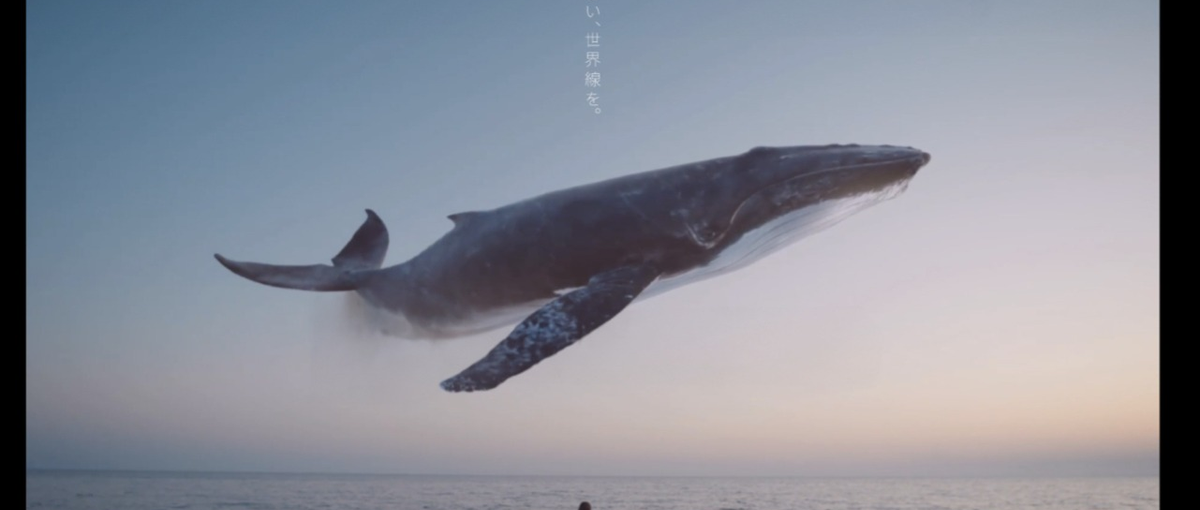 出張販売職！企画職へキャリアアップできるベストベンチャーやホワイト認定企業