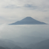 友 本沢