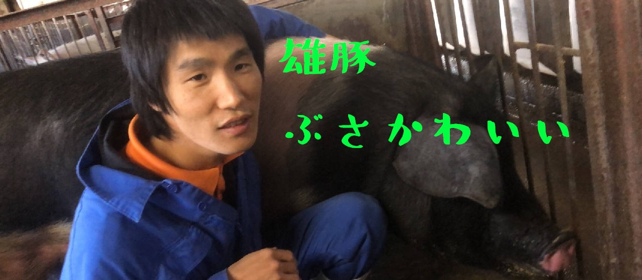 ＜vol.９＞働けるのは幸せなこと