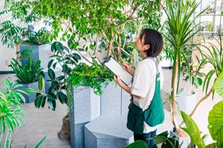 都市部のオフィス・商業施設を彩るグリーン施工・メンテナンススタッフ募集！