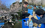 2023年のお花見の様子です。もちろん今年も開催です。