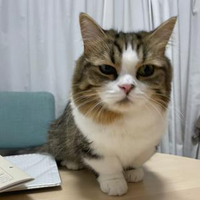 栗原 孝明さんのプロフィール